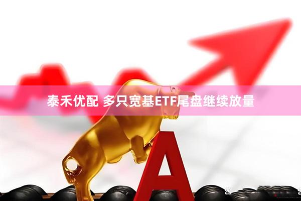 泰禾优配 多只宽基ETF尾盘继续放量